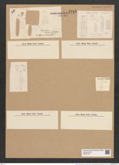 Fragilaria nitzschioides Grun. (de-Toni-Nr.: Genus 73, Species 2795) Zeichnungen Sammlung Grunow Nr. 5715 (NHMW-BOT-W0374107)